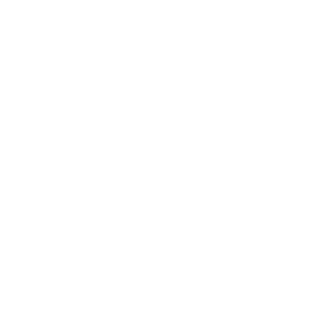 CitiField-White